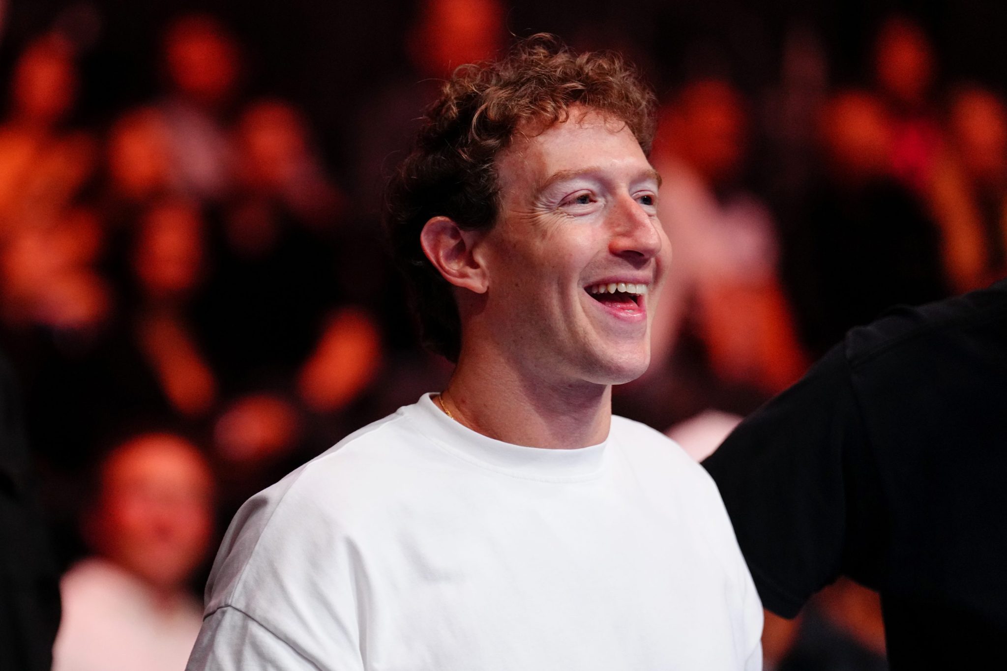 Mark Zuckerberg feeds his cows macadamia nuts and beer to create the ‘highest-quality beef in the world’ on his $300 million estate in Hawaii