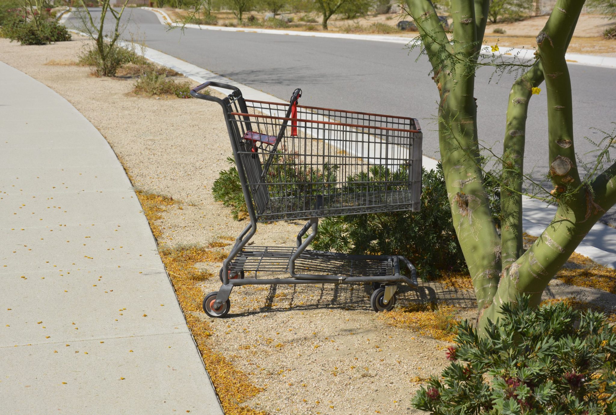 Those bots sending discounts to your email is dynamic pricing in action. Get revenge on those bots by abandoning your cart